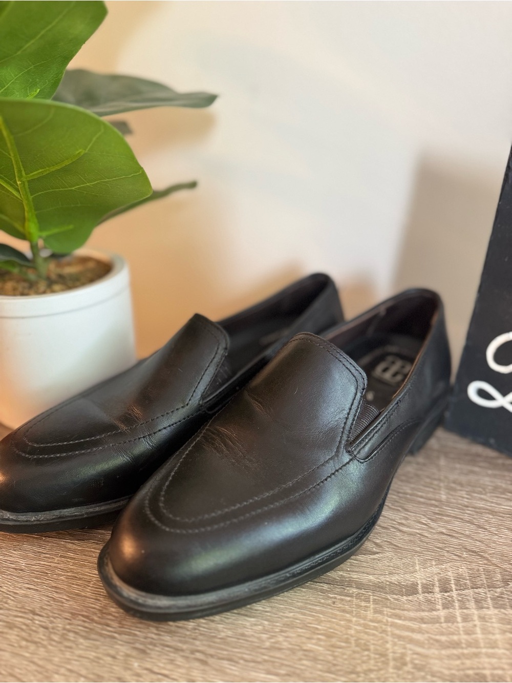 Allen Edmonds Ann Arbor Venetian loafers